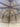 Wooden roof structure with beams and planks